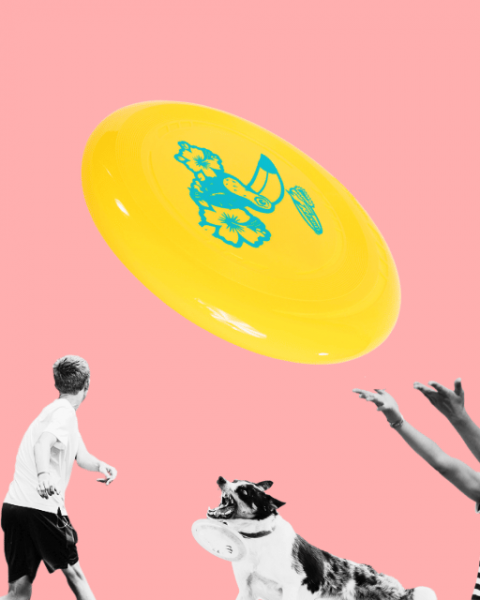 Family-and-friends-playing-ultimate-frisbee